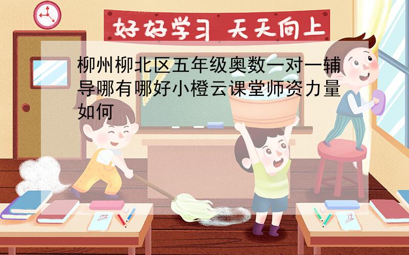 柳州柳北区五年级奥数一对一辅导哪有哪好小橙云课堂师资力量如何