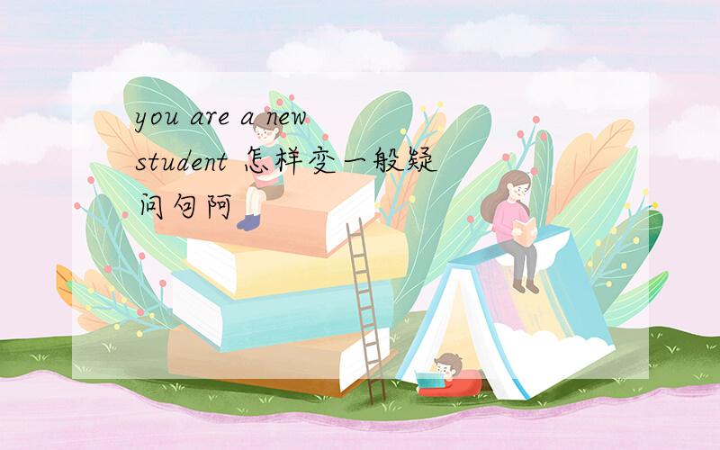 you are a new student 怎样变一般疑问句阿
