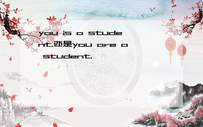 you is a student.还是you are a student.