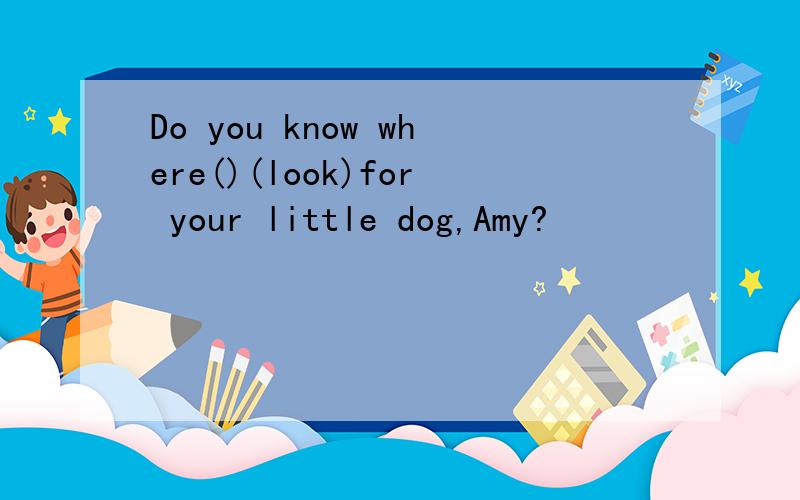 Do you know where()(look)for your little dog,Amy?