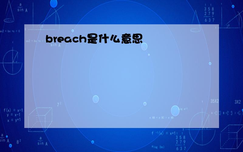 breach是什么意思