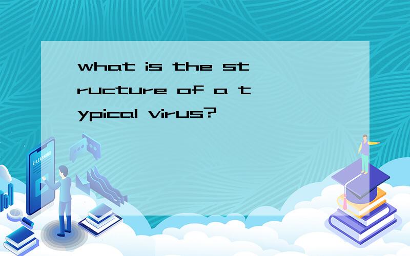 what is the structure of a typical virus?