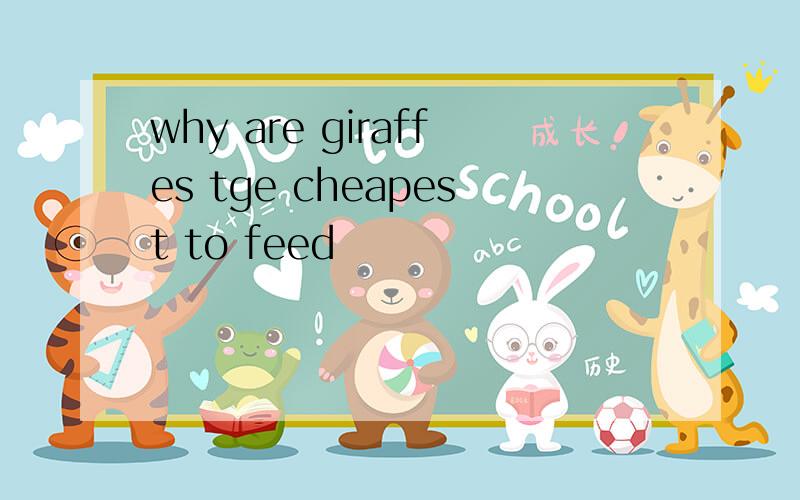 why are giraffes tge cheapest to feed