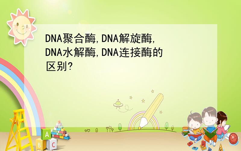 DNA聚合酶,DNA解旋酶,DNA水解酶,DNA连接酶的区别?