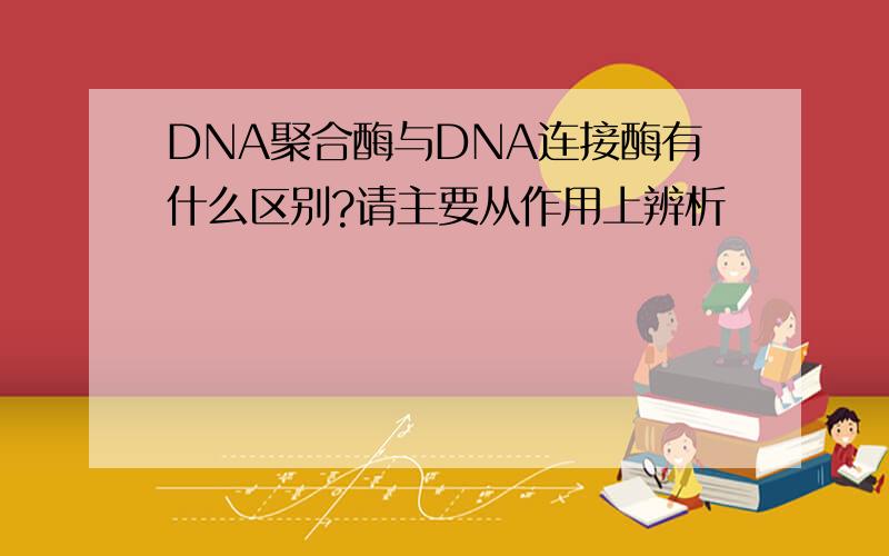 DNA聚合酶与DNA连接酶有什么区别?请主要从作用上辨析