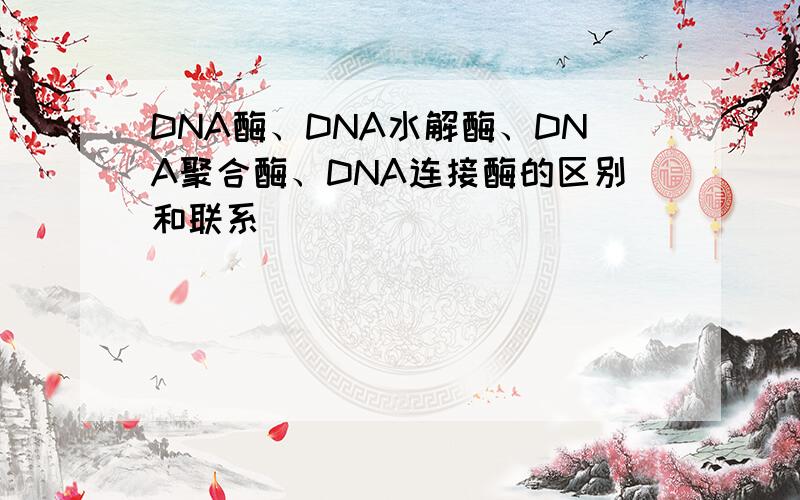 DNA酶、DNA水解酶、DNA聚合酶、DNA连接酶的区别和联系