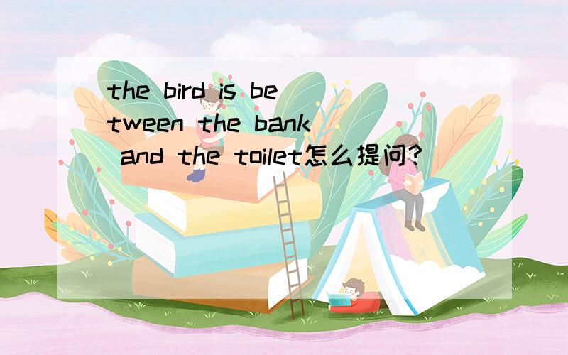 the bird is between the bank and the toilet怎么提问?