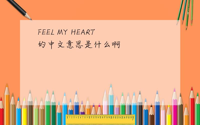 FEEL MY HEART 的中文意思是什么啊