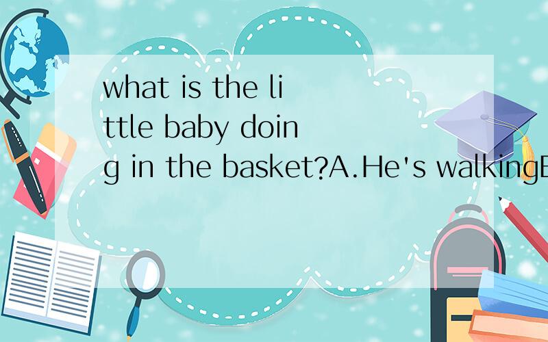 what is the little baby doing in the basket?A.He's walkingB.He's readingC.He's sleeping