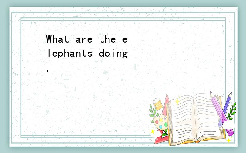 What are the elephants doing,
