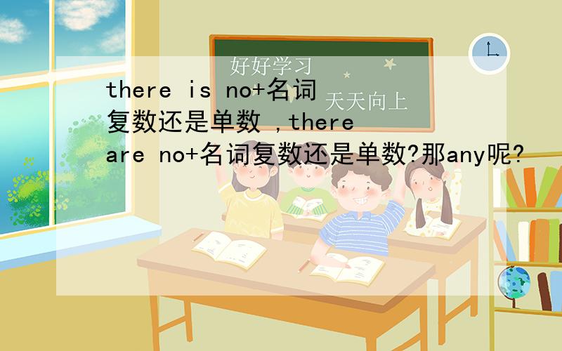 there is no+名词复数还是单数 ,there are no+名词复数还是单数?那any呢?