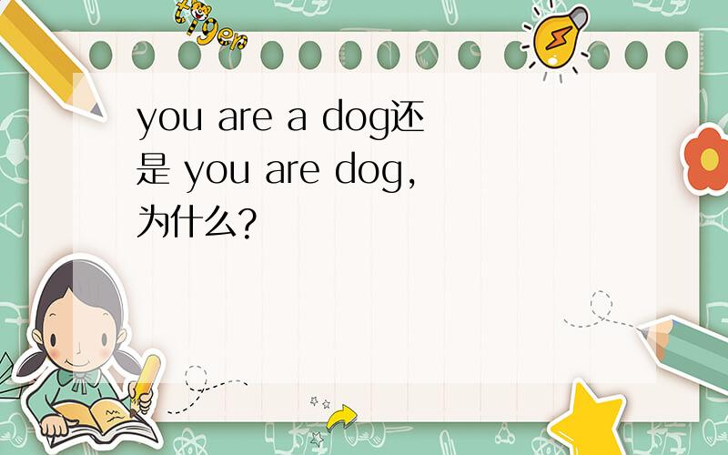 you are a dog还是 you are dog,为什么?