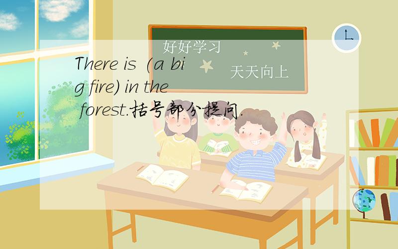 There is (a big fire) in the forest.括号部分提问.