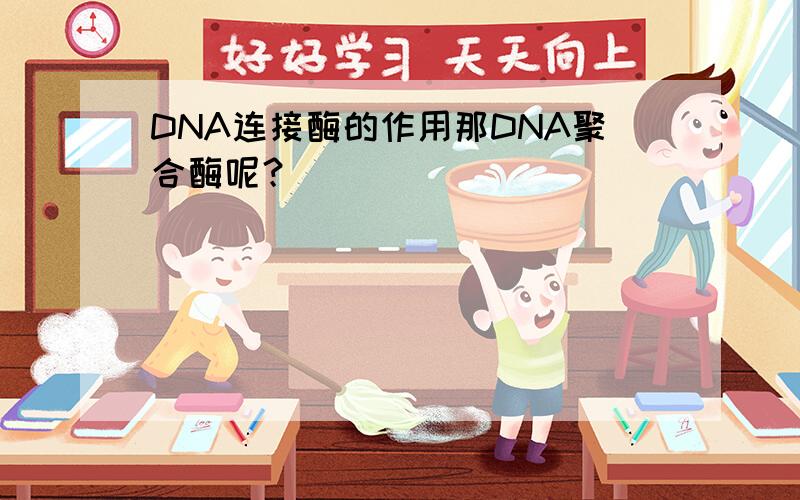 DNA连接酶的作用那DNA聚合酶呢？