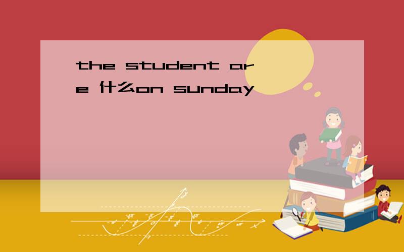 the student are 什么on sunday