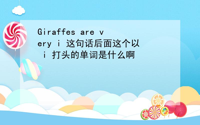 Giraffes are very i 这句话后面这个以 i 打头的单词是什么啊