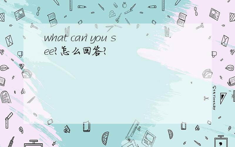 what can you see?怎么回答?